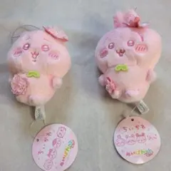 ちいかわ　ぬいぱれっと　さくらいろマスコット　　うさぎ　ちいかわセット
