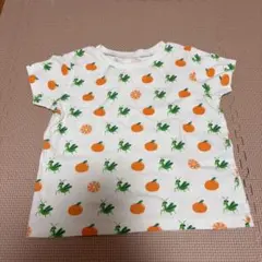 インセクトコレクション　Tシャツ　カマキリ　オレンジのサムネイル