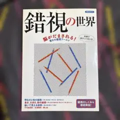 錯視の世界