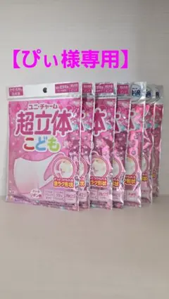 【ぴぃ様専用になります】