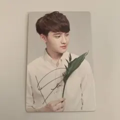 EXO ネイリパ トレカ D.O.