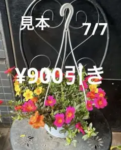 マロンチョコ様 リクエスト 4点 まとめ商品