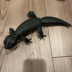 ナムコ限定 ヒョウモントカゲモドキ BIGフィギュア 黒