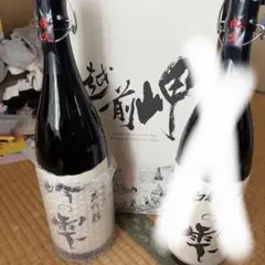 くまコーラ ぴんく・ど・のわーる シュワシュワ 2025 2本セット - メルカリ