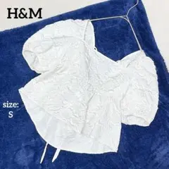 H&M エイチアンドエム 半袖 ブラウス パフスリーブ テクスチャー 春夏 上品のサムネイル