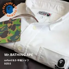 Item thumbnail for item c686c1b7-d59f-42e3-bd1f-8f2cbe333345