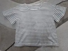 レディース☆HONEYS 半袖ボーダーカットソー