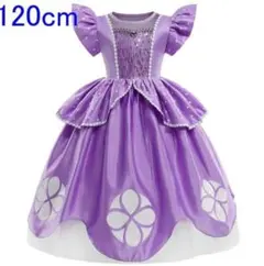 120サイズ　フリル袖　プリンセスドレス ブローチ付き　コスプレ　女の子