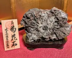 松浦有成翁遺愛石 加茂川石 水石 滝石 鑑賞石 共箱 - メルカリ