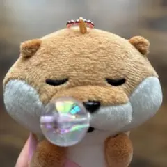 可愛い嘘のカワウソ　ぬいぐるみセット27体 可愛い嘘のカワウソ』全長約55cmのビッグぬいぐるみ登場。カワウソ