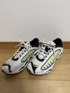 Nike Max Air スニーカー ホワイト/ブラック