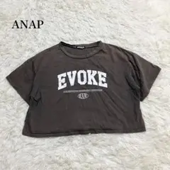 アナップ ヴィンテージ半袖Tシャツ ロゴプリント カジュアル ウォッシャブル