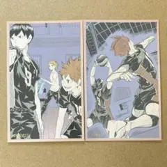 ハイキュー　日向翔陽　影山飛雄　烏野　メモリアルコレクション　ジャンプショップ