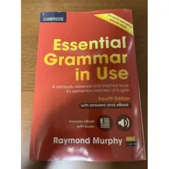 Essential Grammar in Use fourth edition