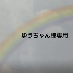 専用ページです