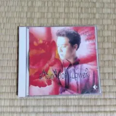 sAturAtion fLower hiRoYuKi taKaMi CD