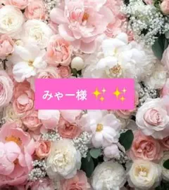 みゃー様専用ページ