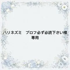 ハリネズミ　プロフ必ず必読下さい様　専用