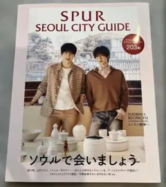 SPUR韓国ムック SPURソウルシティガイド