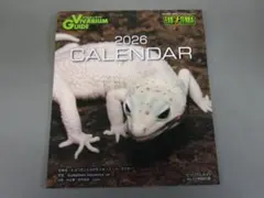 ビバリウムガイド　レプファン　雑誌　まとめ売り 2025年最新】ビバリウムガイドの人気アイテム - メルカリ