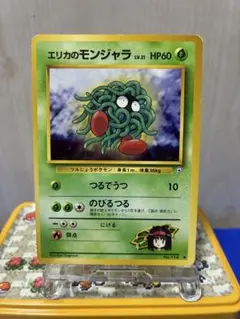 エリカのクサイハナ ポケモンジム第2弾 タマムシシティジム エリカ