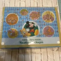 新品　未使用　ディズニーリゾート　バケーションパッケージ