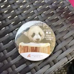 2025年最新】楓浜バッチの人気アイテム - メルカリ