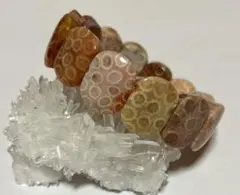 Item thumbnail for item e1bc0c73-286c-4943-b392-f88f6d2df1be