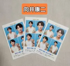 2025年最新】向井康二 厚紙の人気アイテム - メルカリ