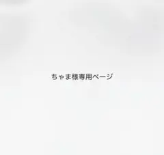 ちゃま様専用ページ