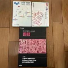 国語　現代文対策セット（バラ売り可）