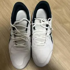 Item thumbnail for item 6b442c06-374a-4159-81f0-ba7ffa6ebab5