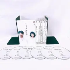 それでも、生きてゆく DVD 全6巻 永山瑛太 満島ひかり 坂元裕二