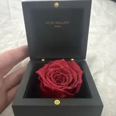 ROSE GALLERY GINZA ダイアモンドローズ Mブライトレッド - メルカリ