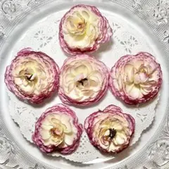 ⁠✧⁠*⁠なな⁠*⁠⁠✧‪プロフ見てね♪様 リクエスト 3点 まとめ商品