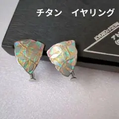 アトリエＹＯＵTitan Art Jewelry チタン イヤリング未使用品のサムネイル