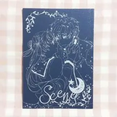 ・セーラームーン 同人誌 星野× 우사기 星うさ 小説 漫画