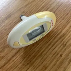 Item thumbnail for item 56578061-1da0-473e-aa75-412618556807