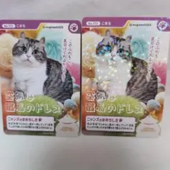 Item thumbnail for item c34e3263-89a1-40ae-af57-3a9c36d26616