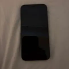 Apple iPhone 12mini 本体 64GB