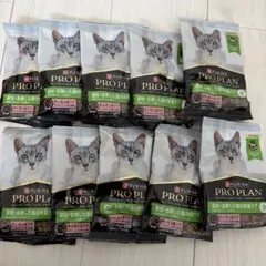 Item thumbnail for item d6879cc8-f6c5-4a4b-b266-9eba54ed3a0c