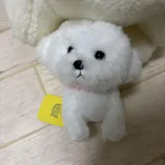 Sunlemon PUPS! ビションフリーゼ ぬいぐるみのサムネイル