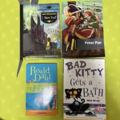 洋書 まとめ売り