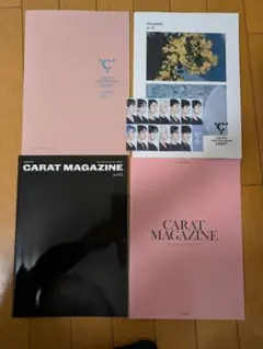 お値下げ可★SEVENTEEN　セブチ　会報