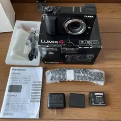zion様用　LUMIX DMC-GX7MK2 ミラーレスカメラ zion様用LUMIX DMC-GX7MK2 ミラーレスカメラ