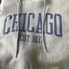 Champion reverse weave チャンピオン　パーカー グレー