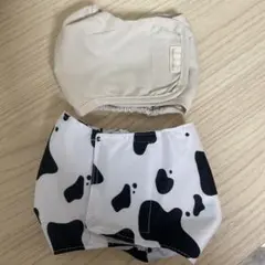 Item thumbnail for item d68a5c22-3ebe-43d0-944f-e0ad684b6029