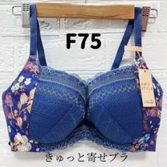 F75 トリンプ　アモスタイル きゅっと寄せブラ #3のサムネイル