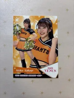 Item thumbnail for item 36350bd7-cca1-49e3-8582-ae0b05c09615