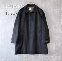 Item thumbnail for item 26b3a682-cfe4-435e-b5fc-68f628e9a845